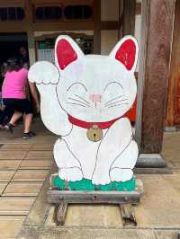 ⛩️豪德寺🐱藏有大量招財貓雕像的佛寺