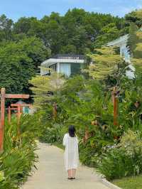 MINAD Dong Chanh - Villas