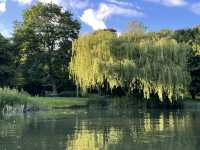 The incredible river Cam, Cambridge!
