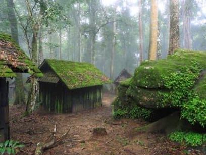 Phu Hin Rong Kla National Park of Thailand 🇹🇭 
