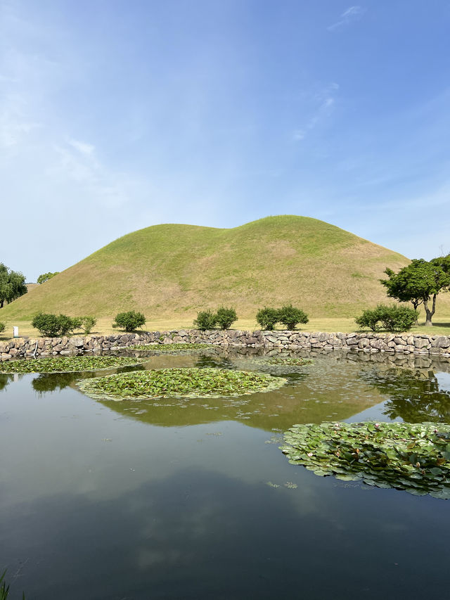 🇰🇷 경주 대표적인 사진 명소 대릉원 | 트립닷컴 경주