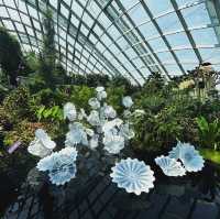 A floral Paradise 
