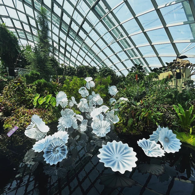 A floral Paradise 