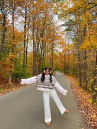 가을에 버몬트를 탐험해보세요 🍁