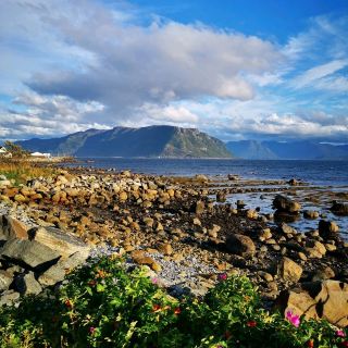 Godøya Uncovered: A Journey Through Norway's Serene Island