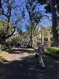 Green Funchal 