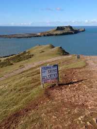 🌊 Wild & Rugged: A Gower AONB Adventure 🌿