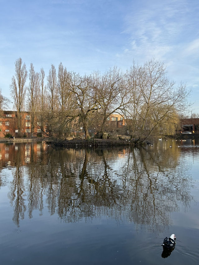 Swanswell Park and Pool: A Serene Escape in Coventry