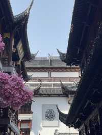 Shanghai｜ Must visit Yuyuan Garden with traditional Shanghai vibe 