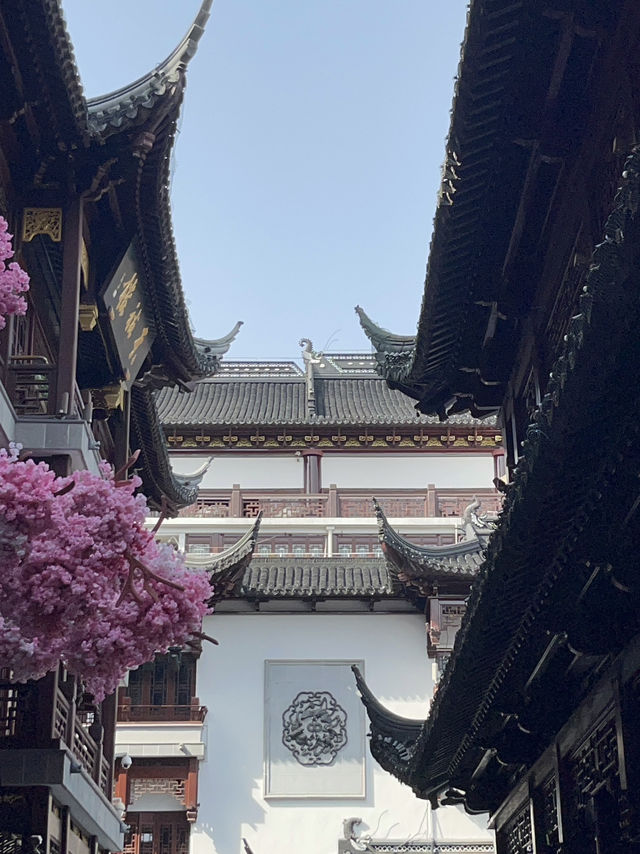 Shanghai｜ Must visit Yuyuan Garden with traditional Shanghai vibe 