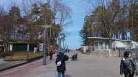 Let's take a stroll at Jūrmala 😊