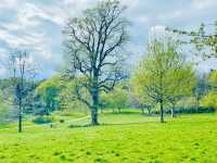Birmingham in Bloom: From The Vale Lake to the Library Secret Garden