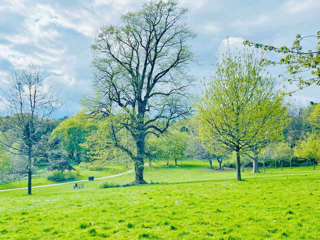 Birmingham in Bloom: From The Vale Lake to the Library Secret Garden