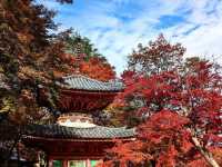 An ancient temple with a beautiful vermilion-painted Taho Pagoda and the a