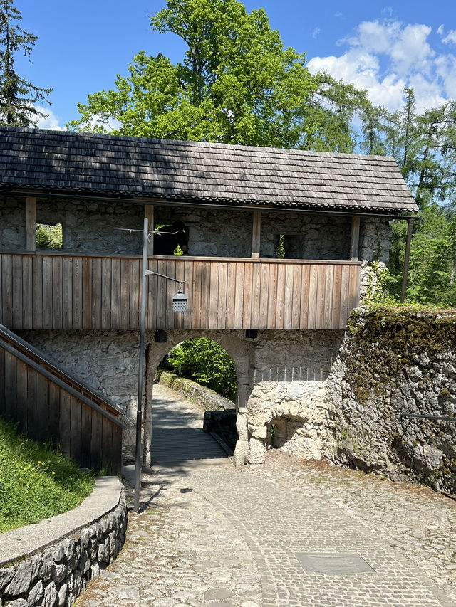 🇸🇮 斯洛維尼亞布萊德（Bled） 🚲