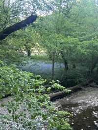 Down by the river 