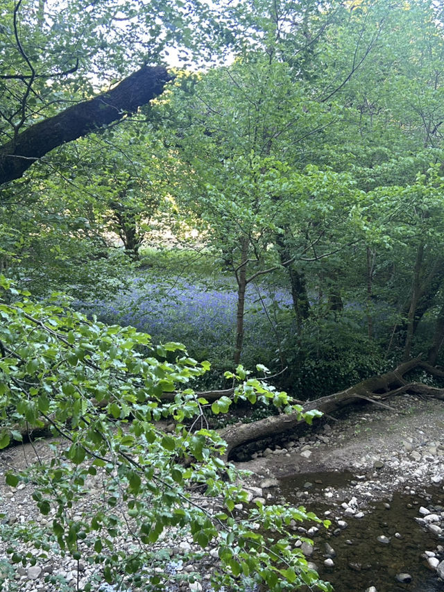 Down by the river 