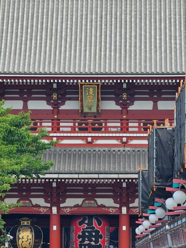 🇯🇵 My Ultimate 3-Week Japan Itinerary: Culture, Nature & City Buzz in One Epic Trip 🌸
