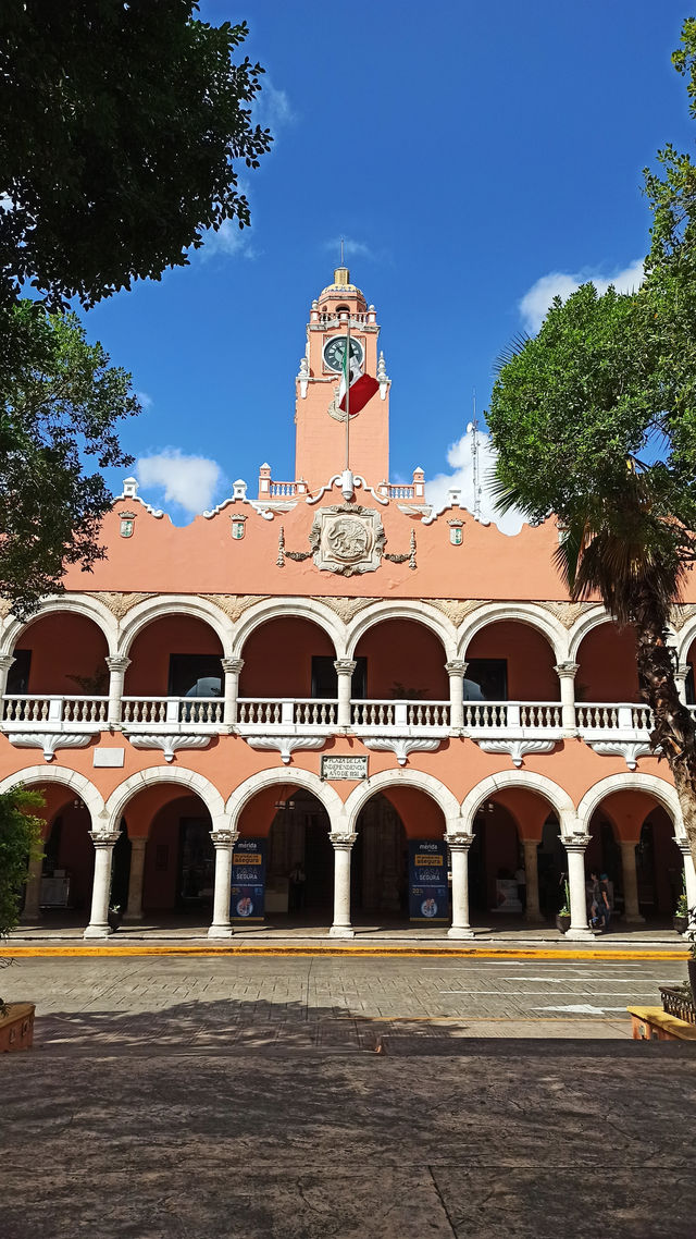 11 Days of Magic – Your Perfect Mexico Itinerary ☀️🌴🌺