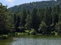 Rakitna lake