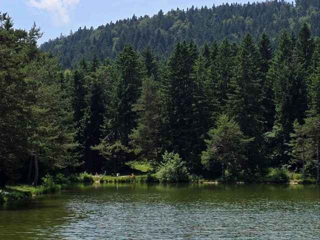 Rakitna lake