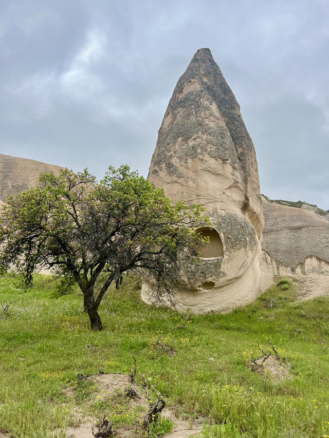 Cappadocia: Rose Valley in Bloom