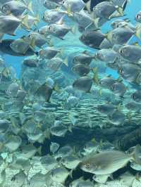 Durban Day Trip Itinerary