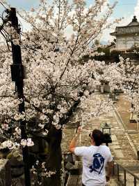 🍃⛩️ Kyoto – Where tradition whispers through every street 🇯🇵✨