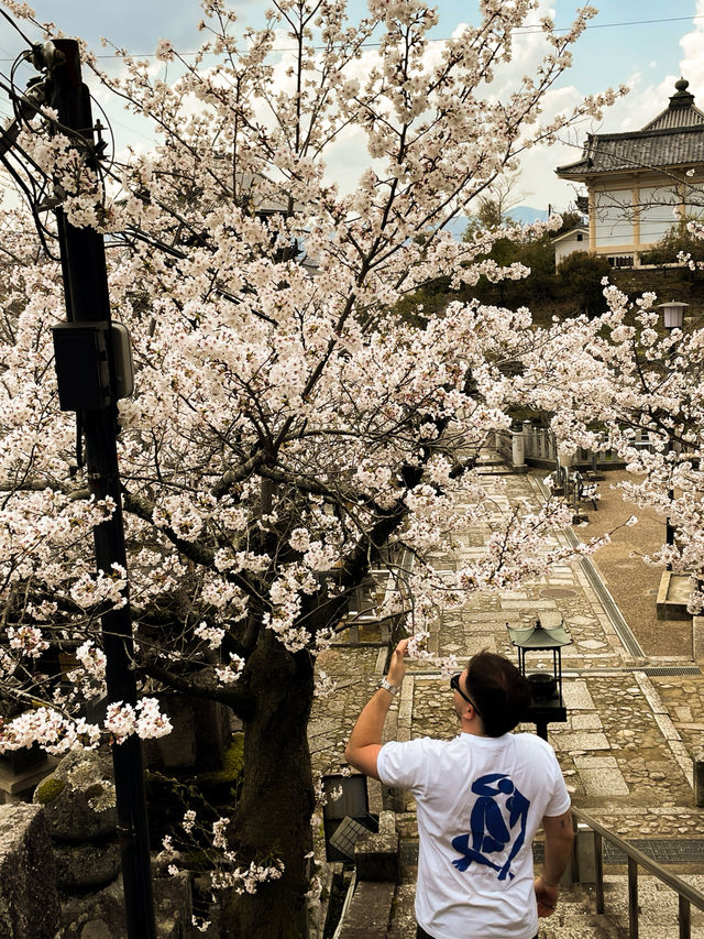 🍃⛩️ Kyoto – Where tradition whispers through every street 🇯🇵✨