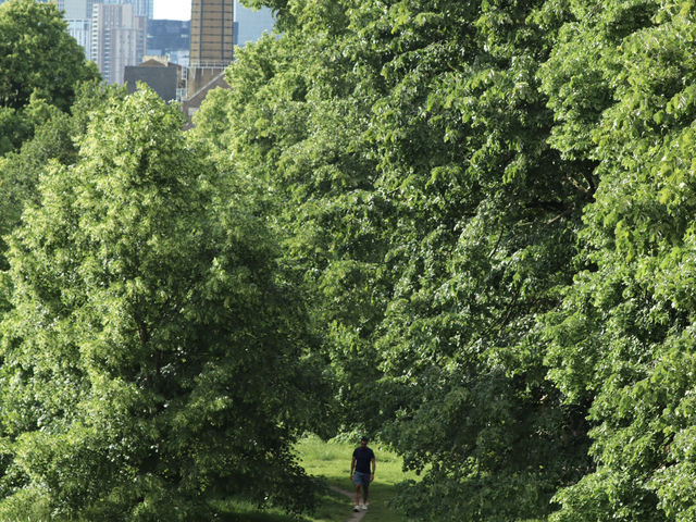 A Jewel in London's Crown in Greenwich 🌳
