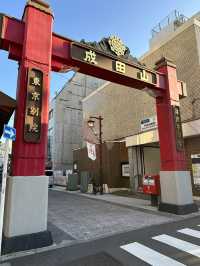 Dreaming of Japan? I show you the iconic Tokyo landscape 