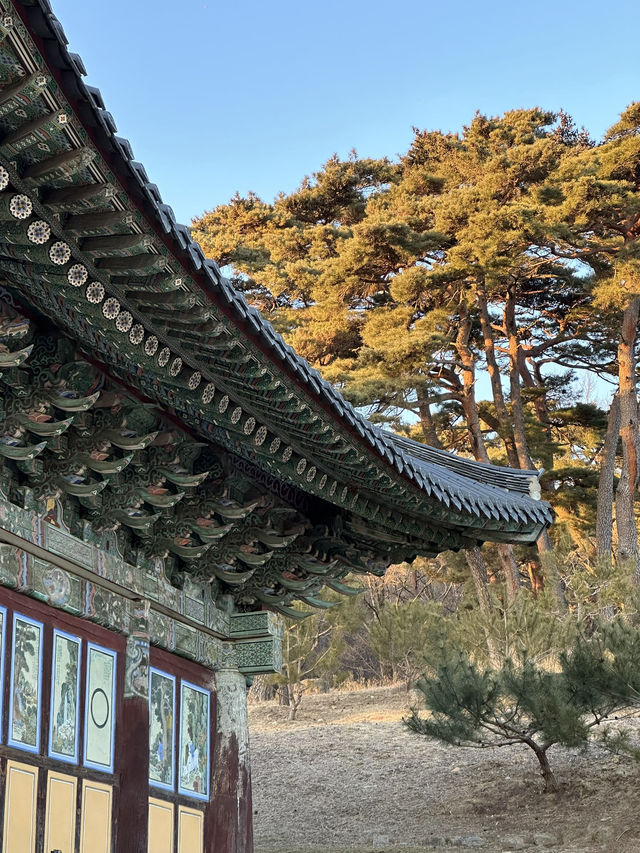 Donghwasa Serenity in the Middle of the Korean Hills