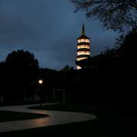🌙Huiyuan Garden by Night: A Quiet Stroll Through Anhui Miniatures & Lantern Glow