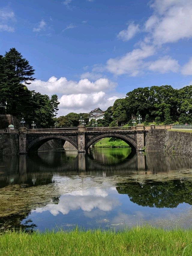 Modern Tokyo Views🏙️