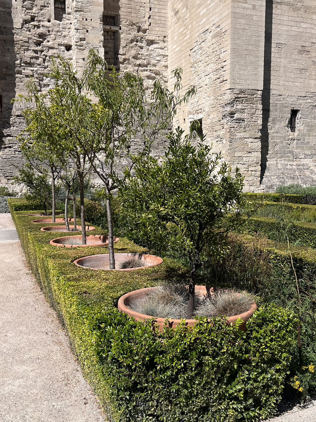 Папские сады в Авиньоне