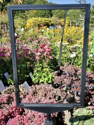 ความสงบและงานฝีมือ สถานที่ที่จะช่วยให้คุณได้ผ่อนคลายและชื่นชมรายละเอียดต่างๆ 🌿🪴✨