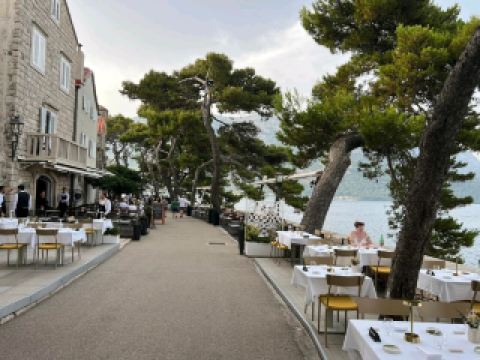 Pine Coast Bliss🌲,