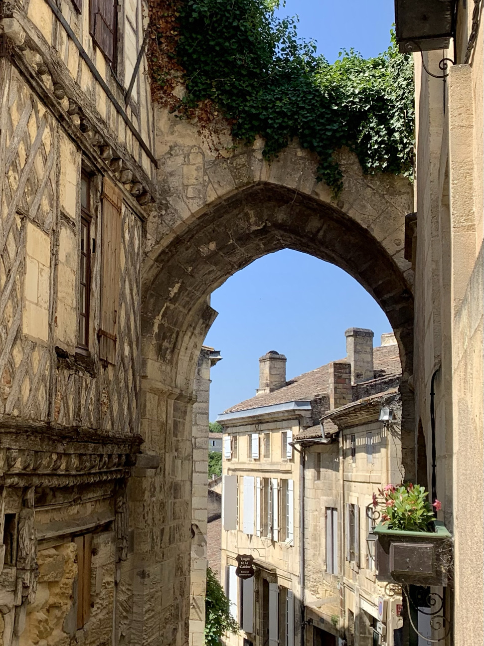 🇫🇷フランスのワインルート：城とブドウ畑を巡る旅🚗/🚴‍♂️