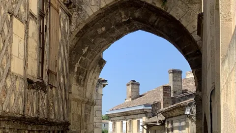 French Wine Routes: A Journey Through Châteaux and Vineyards — traveler post in Epernay