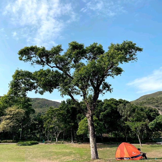 迪欣湖 野餐啦