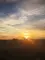 sylvaris_1023