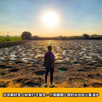 大生圍期間限定｜火星魚塘🐟
