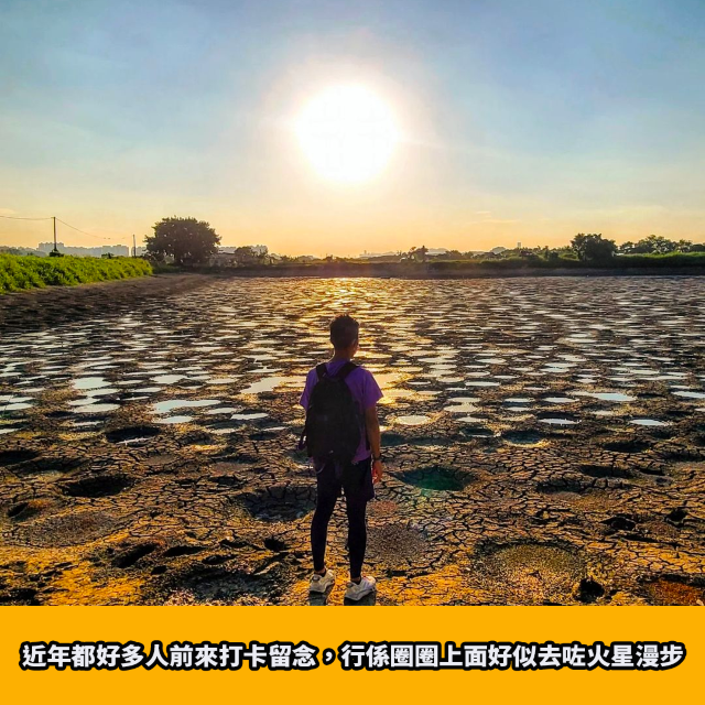 大生圍期間限定｜火星魚塘🐟