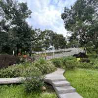 打卡深圳觀湖中心公園