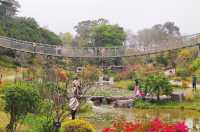 Guangdong Dongguan Botanical Garden | Spring has no direction, it only blooms.