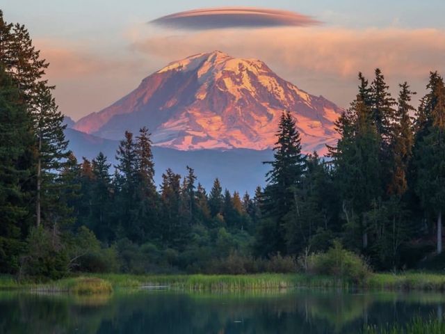 🏔️Mount Rainier National Park | Accidentally stumbled into Heidi's garden