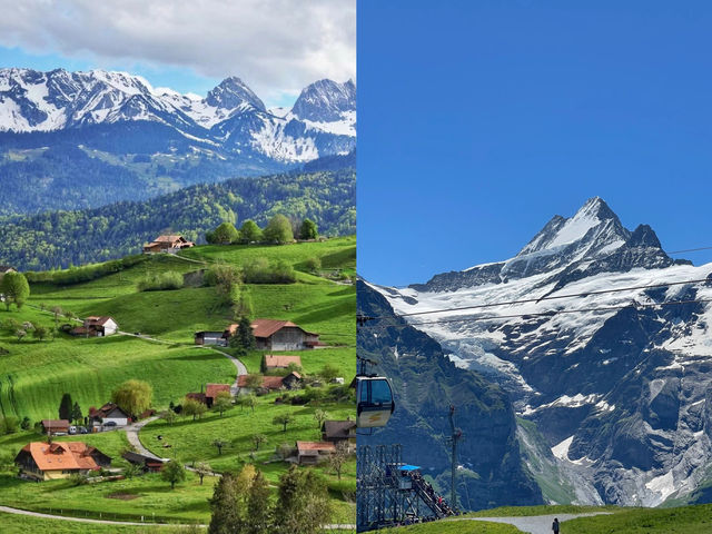 Switzerland 🇨🇭 is really worth a separate trip~ A must-see guide for travel.