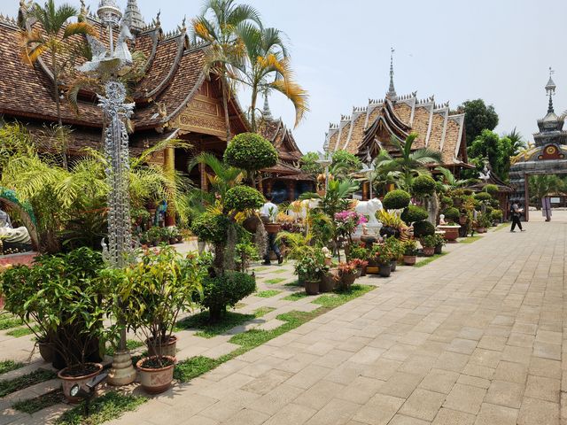 Read a legendary story of the rainforest, the ancient, mysterious and passionate Xishuangbanna.