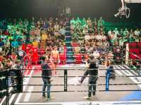 Muay Thai Fight Experience in Pattaya 🇹🇭