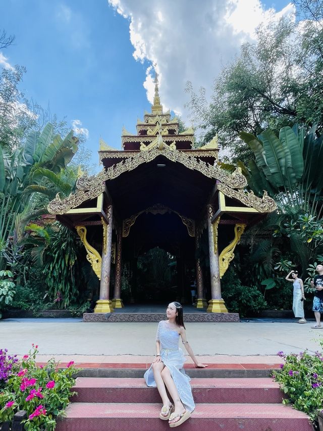 西雙版納|曼听公園👸🏻上帝的御花園💐 西雙版納|曼听公園👸🏻上帝的御花園💐